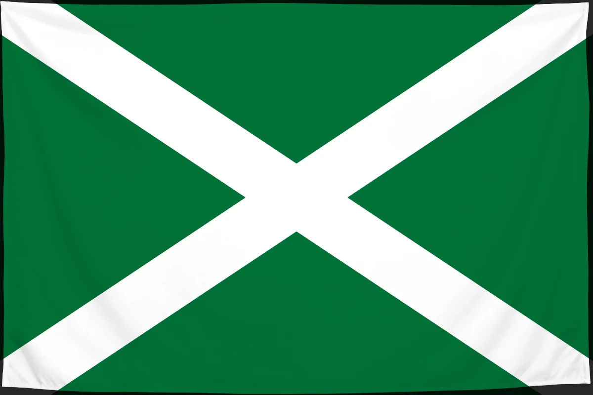 Флаг: Федеральная таможенная служба